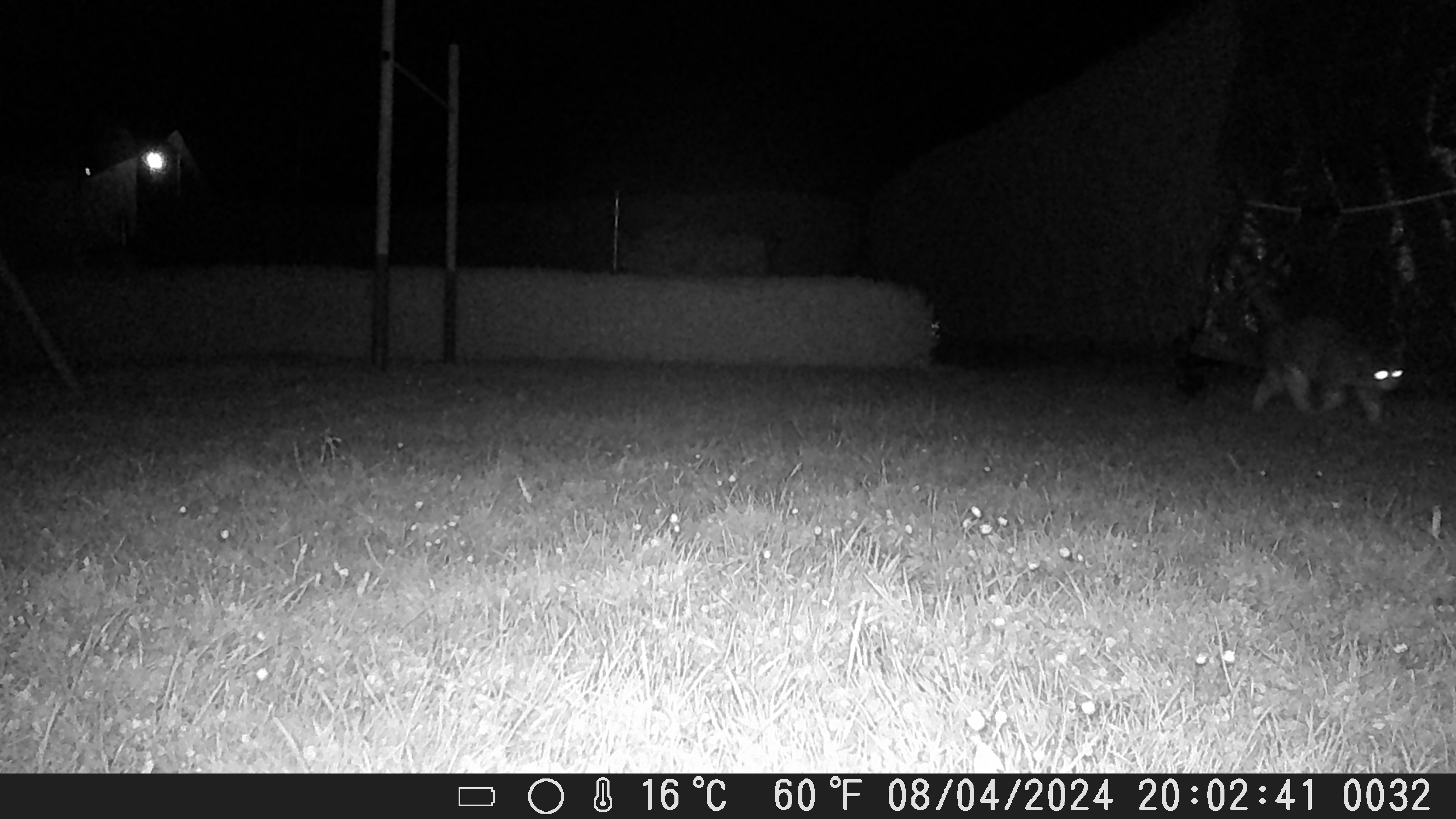 My question about the night shot, unfortunately nothing can be seen. Where is the mistake? The field ...